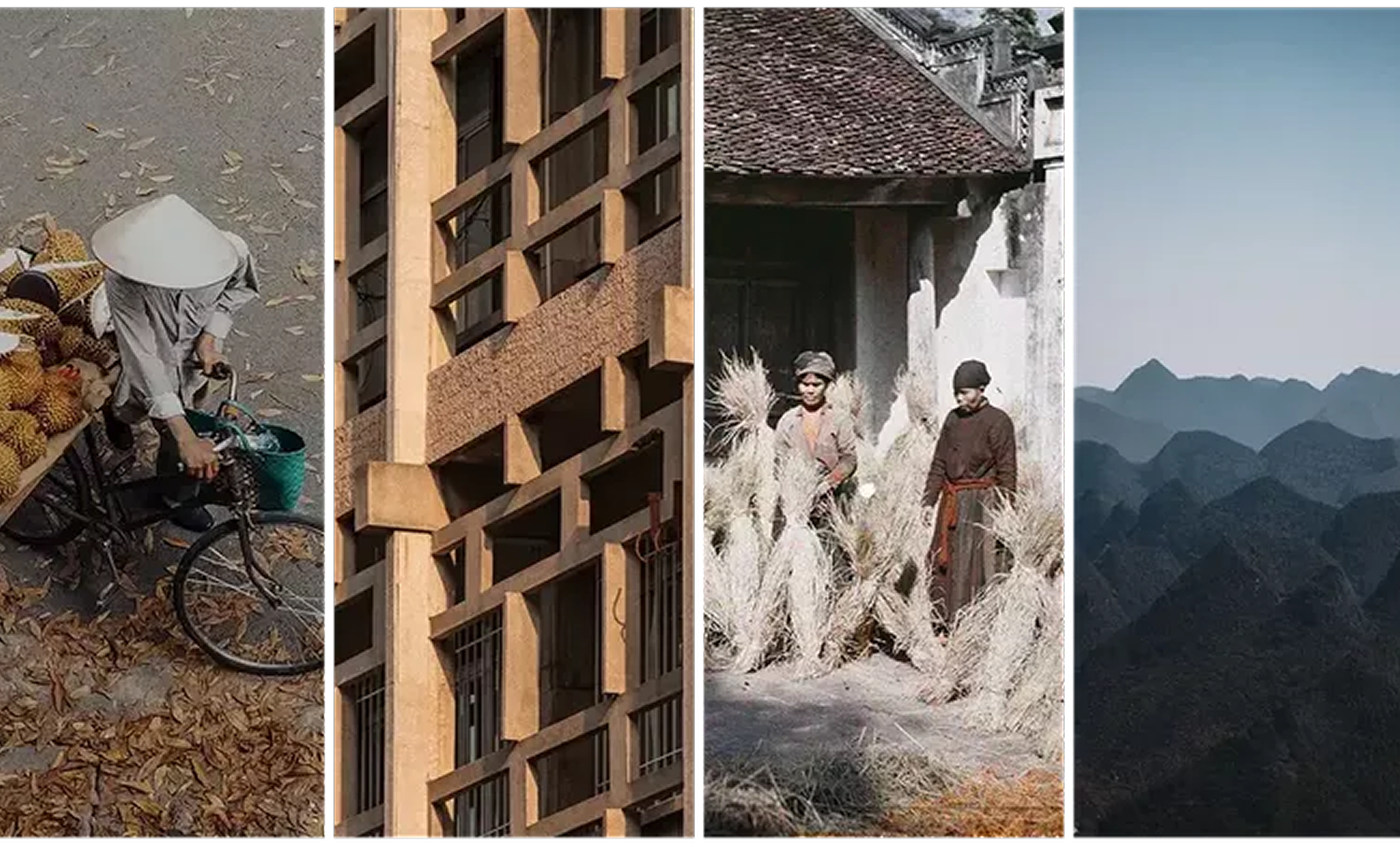 Vietnamese Design Through Global Perspectives